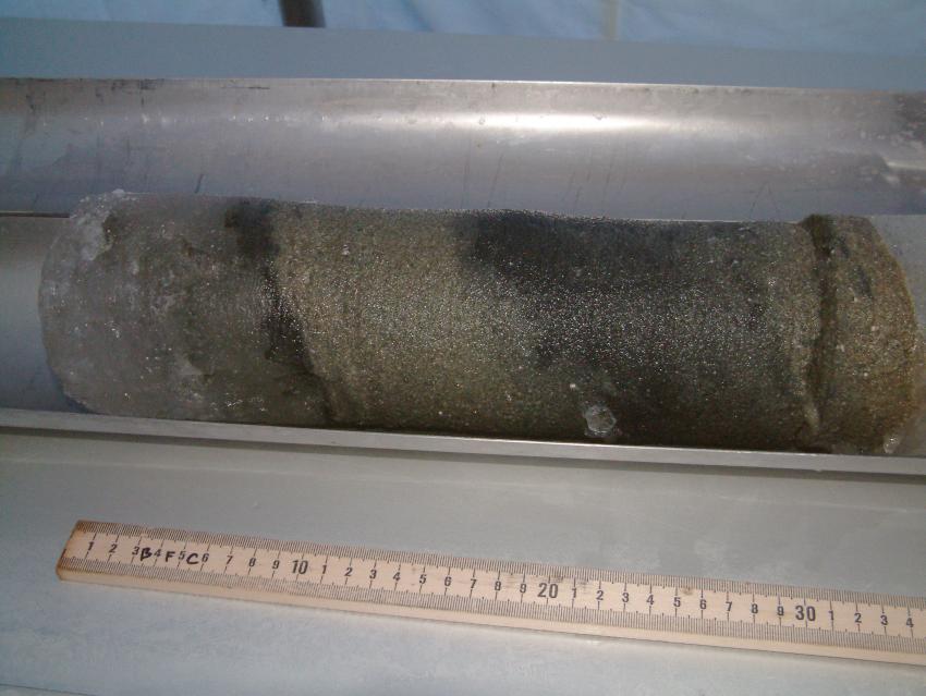 Lake Vida ice core with a thick layer of sediment in the middle that appears to be laminated