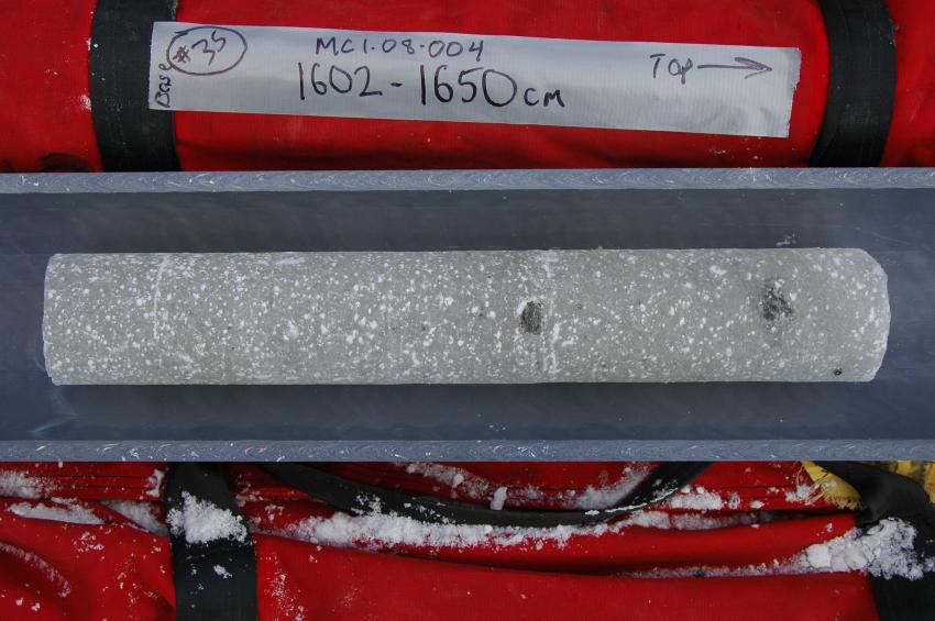 An ice core drilled with the Koci Drill from site MCI-08-004 in Beacon Valley, Antarctica, during the 2008-2009 field season.